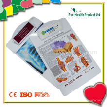 Standard Plastic Medical File Clipboard